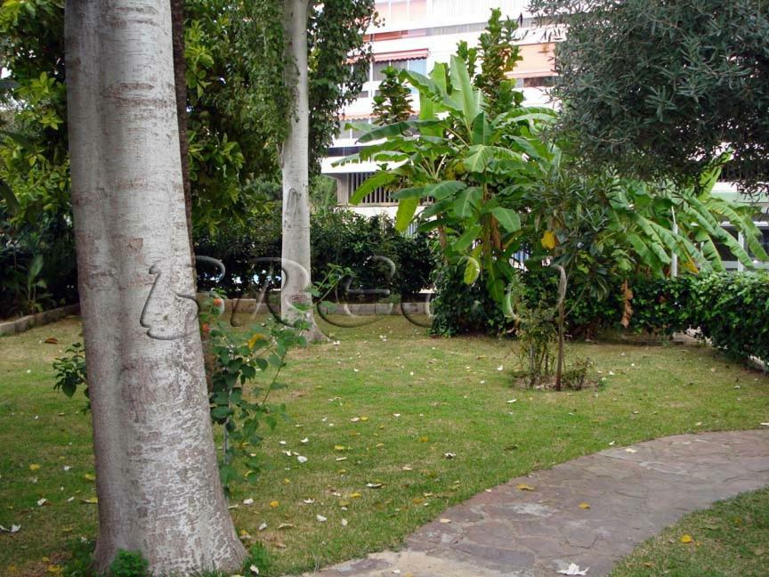 Apartamentos Cervantes Benidorm Eksteriør billede