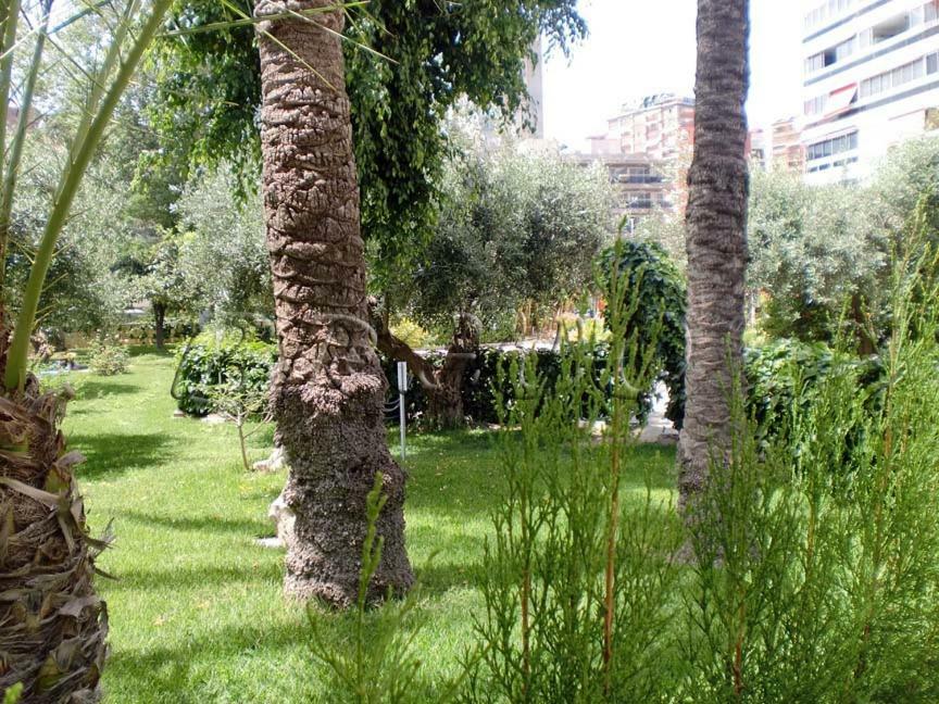 Apartamentos Cervantes Benidorm Eksteriør billede